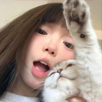 活动写真