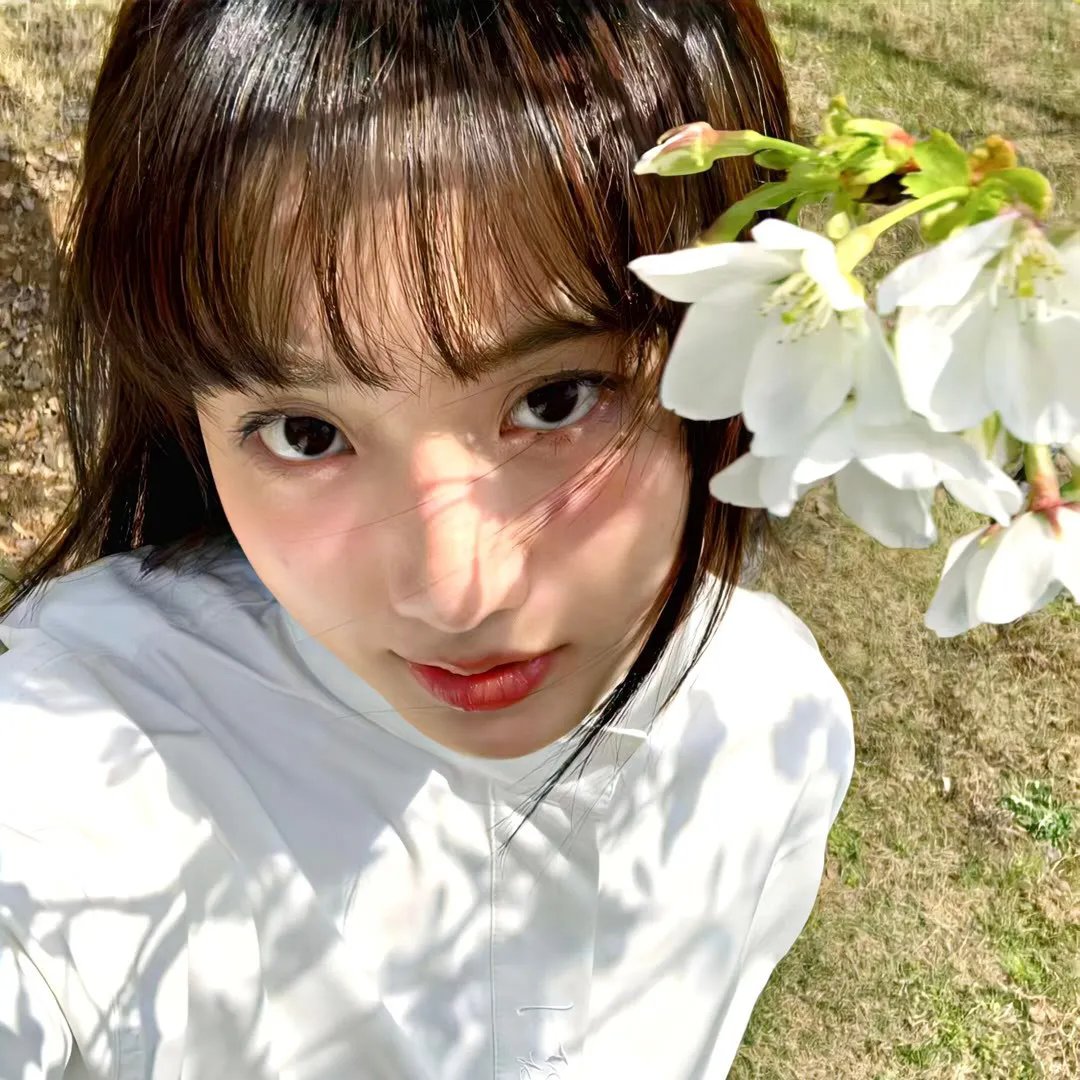 1917迷走莫三比克